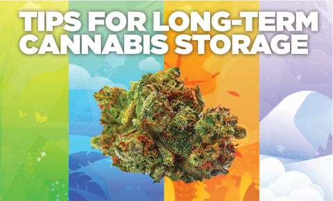 Tips for long term cannabis storage