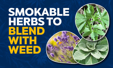 Benefits of Smoking Herbs - Bear Blend