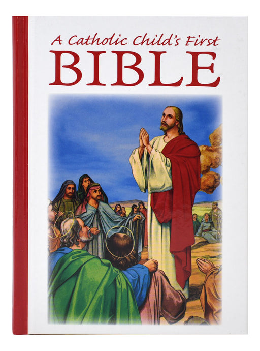 The Great Adventure Kids Catholic Bible Chronicles (Ages 8-12