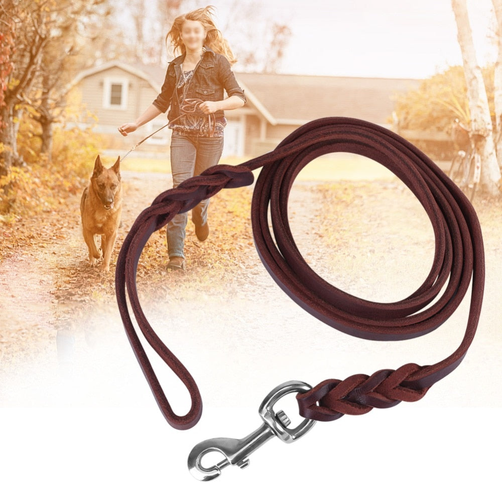 braided leather dog leash