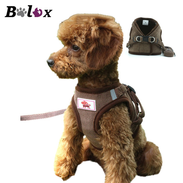 puppy harness and leash set