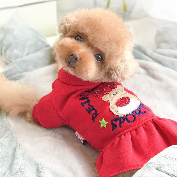 cute puppy clothes