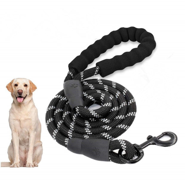 big dog leash