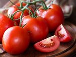 Tomato / Tomat