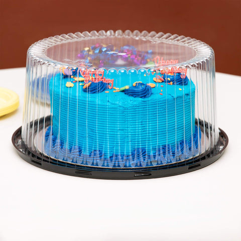 Cake Box - Plastic
