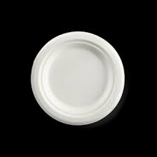 EcoChoice Compostable Sugarcane / Bagasse 9 Plate - 500/Case