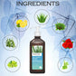 Axiom Mukti Gold Anti Dandruff shampoo 500 ml (Dispenser) + Hair Oil 100 ml + Aloevera Showergel 250 ml (Dispenser)