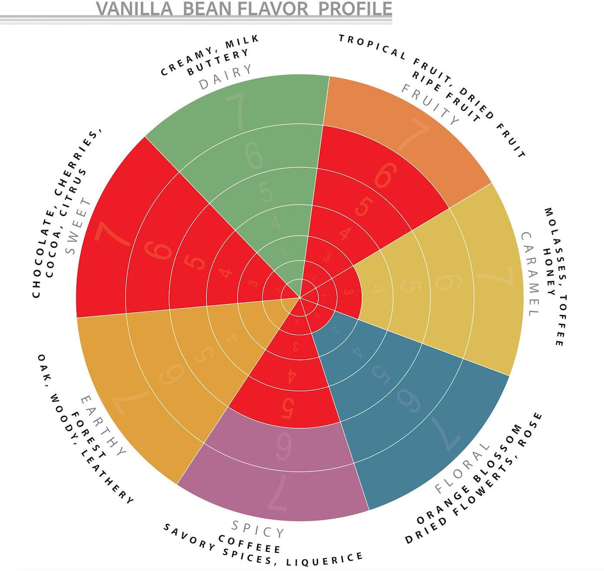 Learn about the Vanilla Bean Flavor Wheel | Native Vanilla
