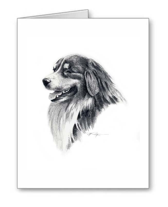 Australian Shepherd Sketch | Drawing for Kids & Adult