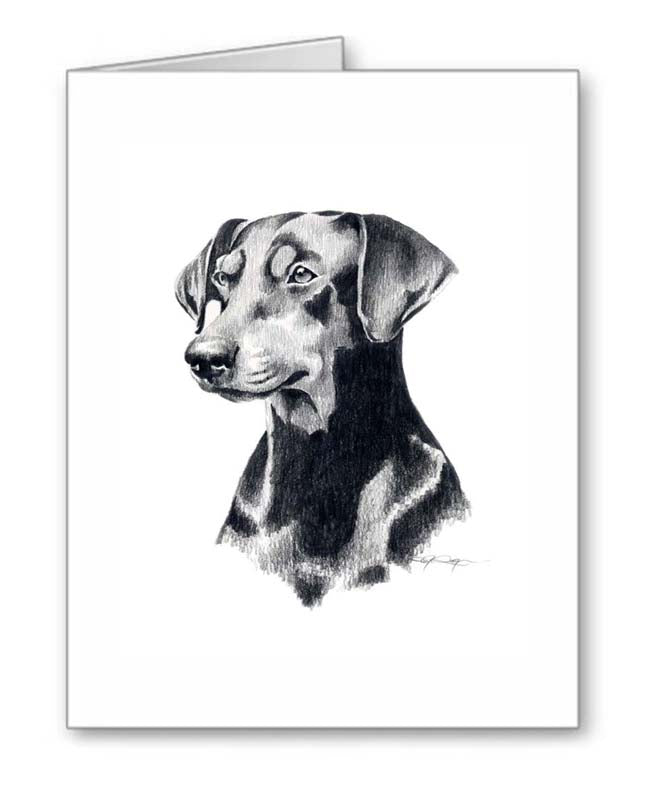 dobermans in pencil sketch