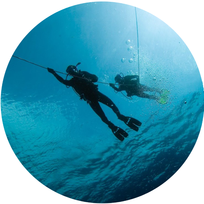 open water diver course 