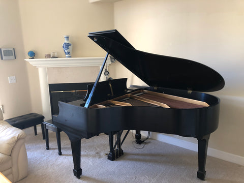 Wu family's 1991 Steinway Model M piano