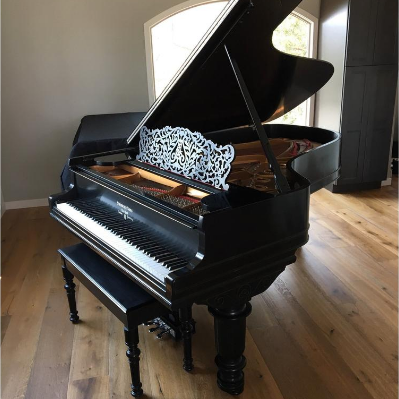 Steinway Model B Piano Henry Ziegler Limited Edition