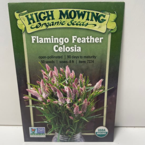 Celosia 'Flamingo Feather Purple' Seeds – 3 Porch Farm