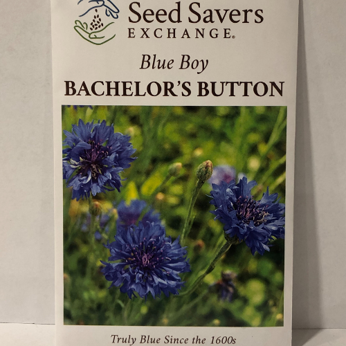 Blue Boy Bachelor's Buttons Flower - Seed Savers Exchange