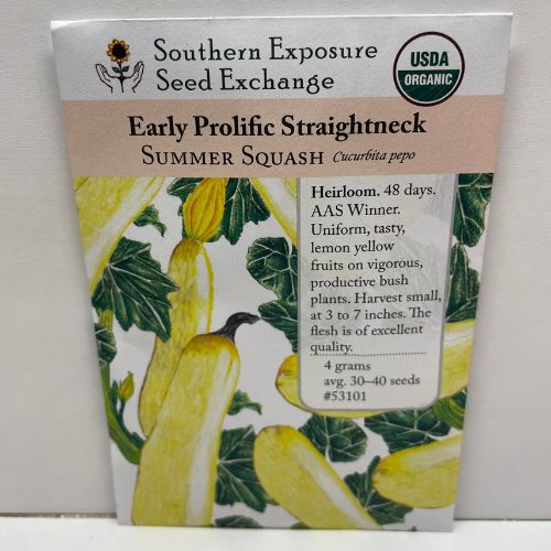 Summer Squash Early Prolific Straightneck Organic