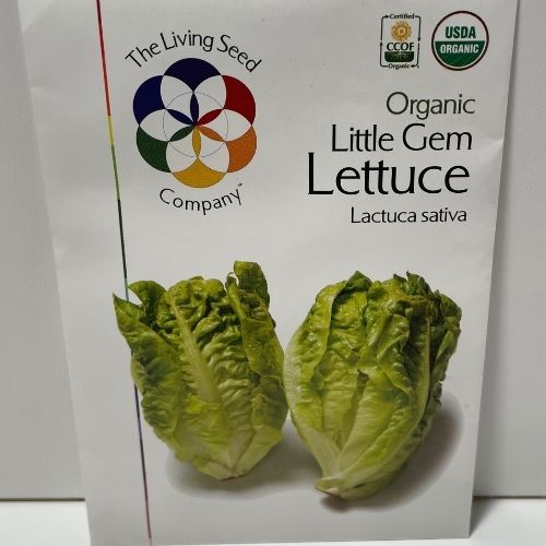 Organic Little Gem Lettuce Seeds (Lactuca sativa)