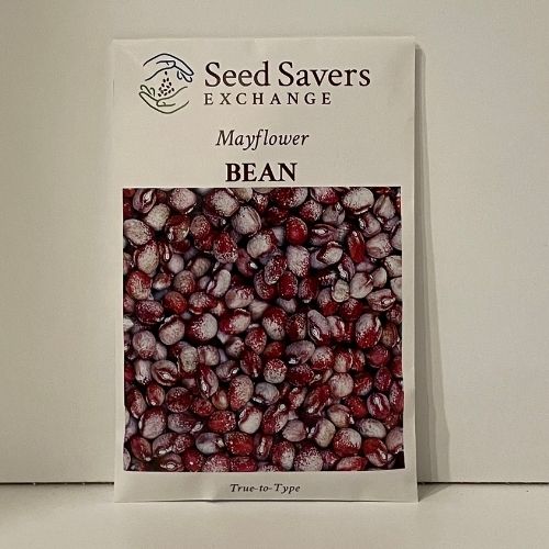 mayflower plant seeds