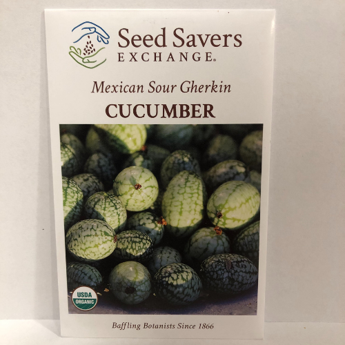 Mexican Sour Gherkin (Cucamelon) - Cucumber Seeds