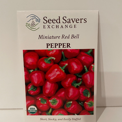 Miniature Red Bell Organic Pepper - Seed Savers Exchange