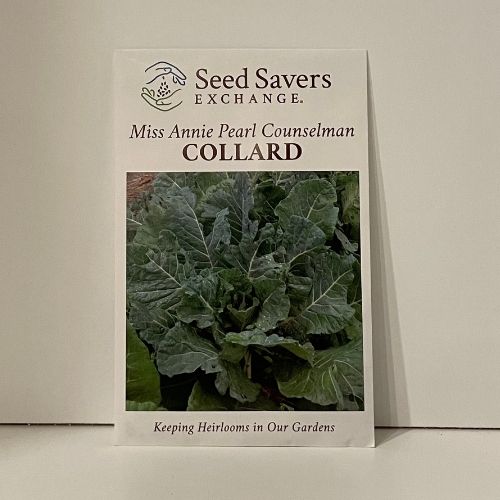 Premium Morris Heading Collard Greens - Fresh Organic, Heirloom Seeds -  Very rich in vitamins and minerals. Both cold and heat tolerant!