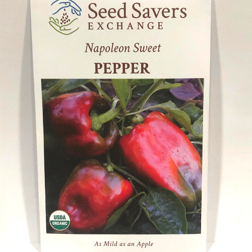 Miniature Red Bell Organic Pepper - Seed Savers Exchange