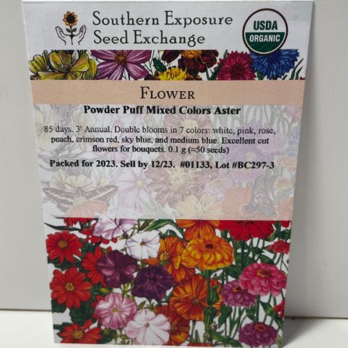 Powder Puff Mixed Colors Aster