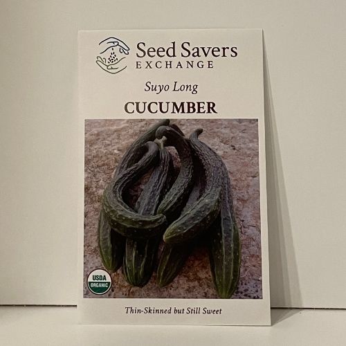 High Mowing Organic Seeds 2424-A Silver Slicer Cucumber Seed