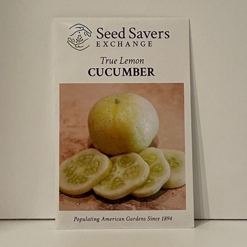 Jelly Melon Cucumber - Organic - Seed Savers Exchange