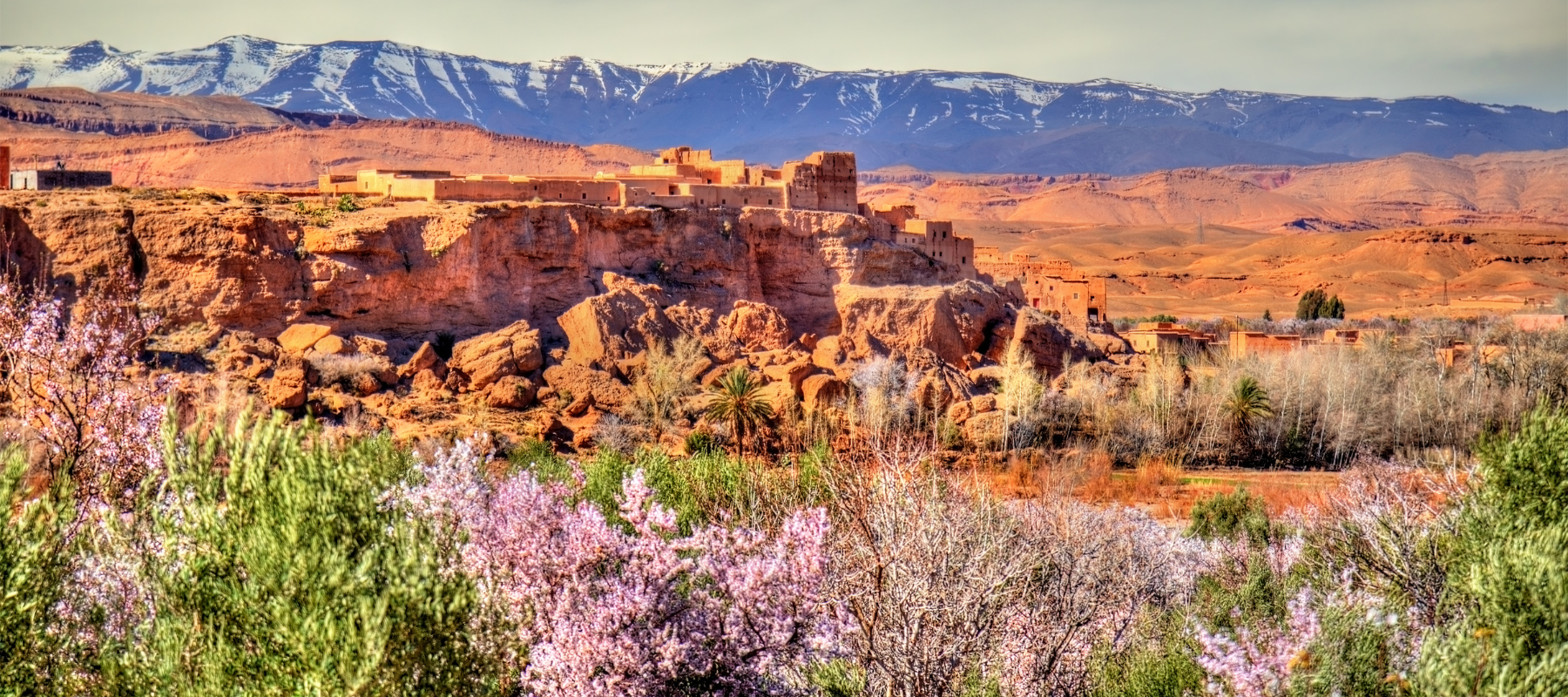 Kalaat M’Gouna rose valley in Morocco