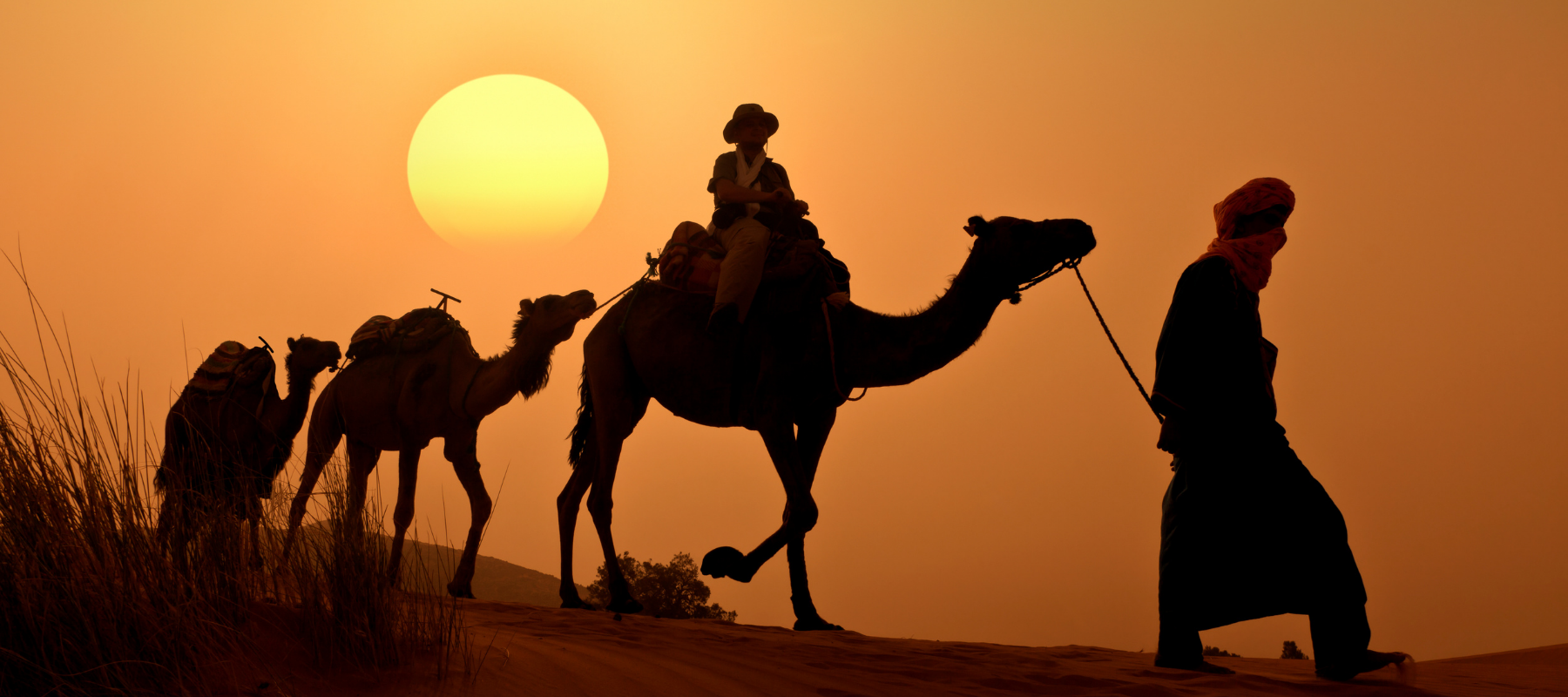 Camel riding in the Moroccan Sahara desert during sunset