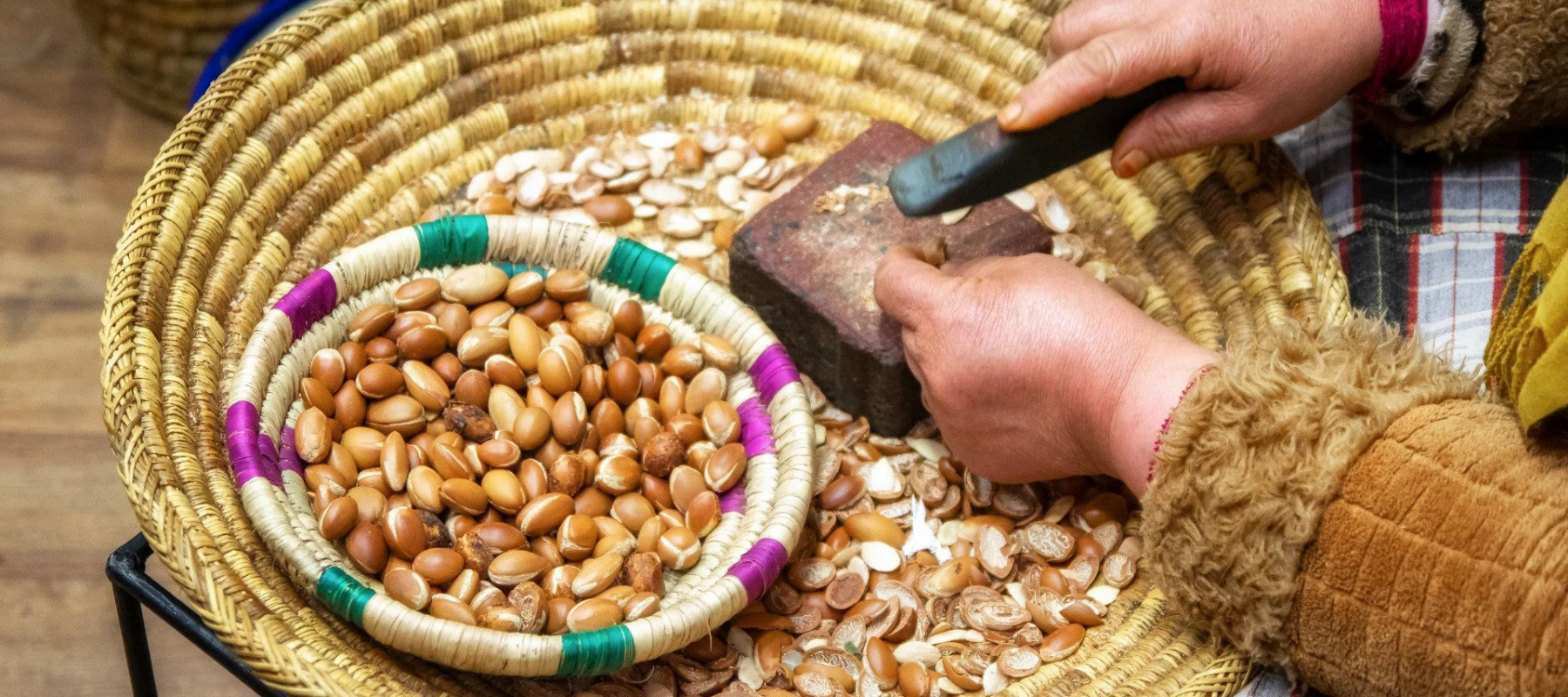 Extracting Argan nuts to make Moroccan Argan oil