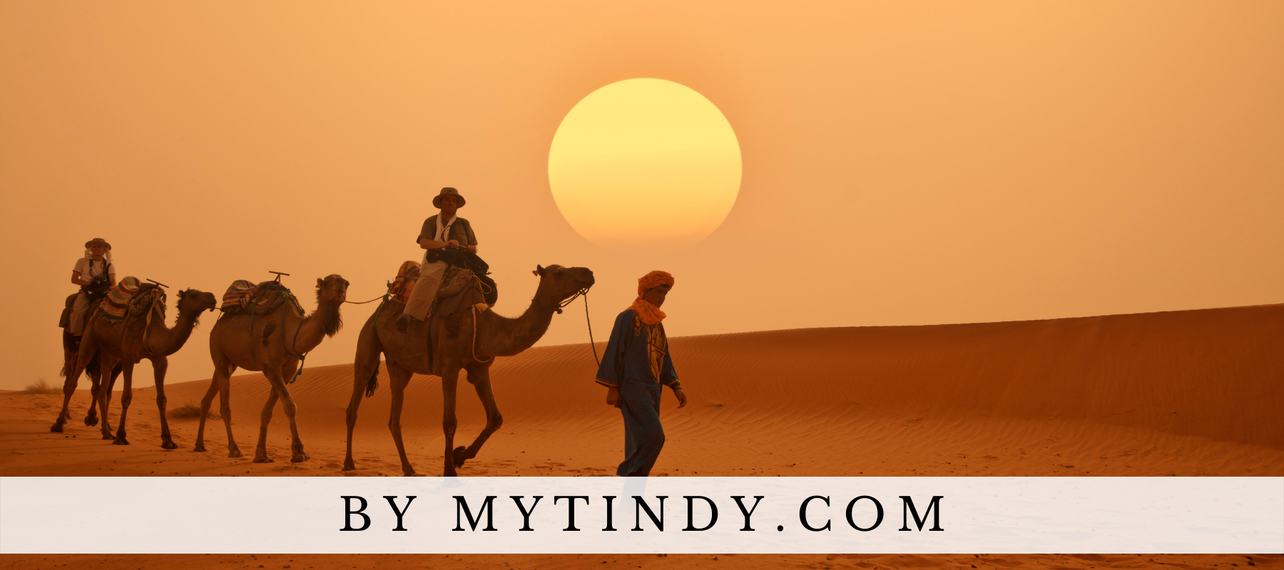 Camel riding in the Moroccan Sahara desert