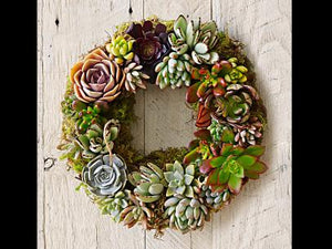 "SUCCULENT WREATH" KIT  -"Make it at Home" KIT - PRE-ORDER NOW