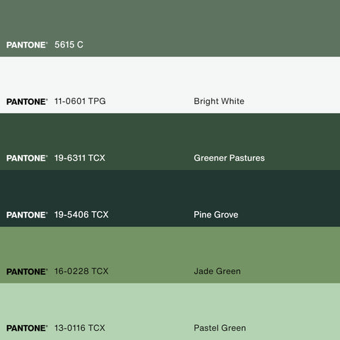 BUY Pantone TPG Sheet 16-0228 Jade Green