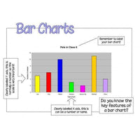 Bar Charts Poster – Primary Classroom Resources