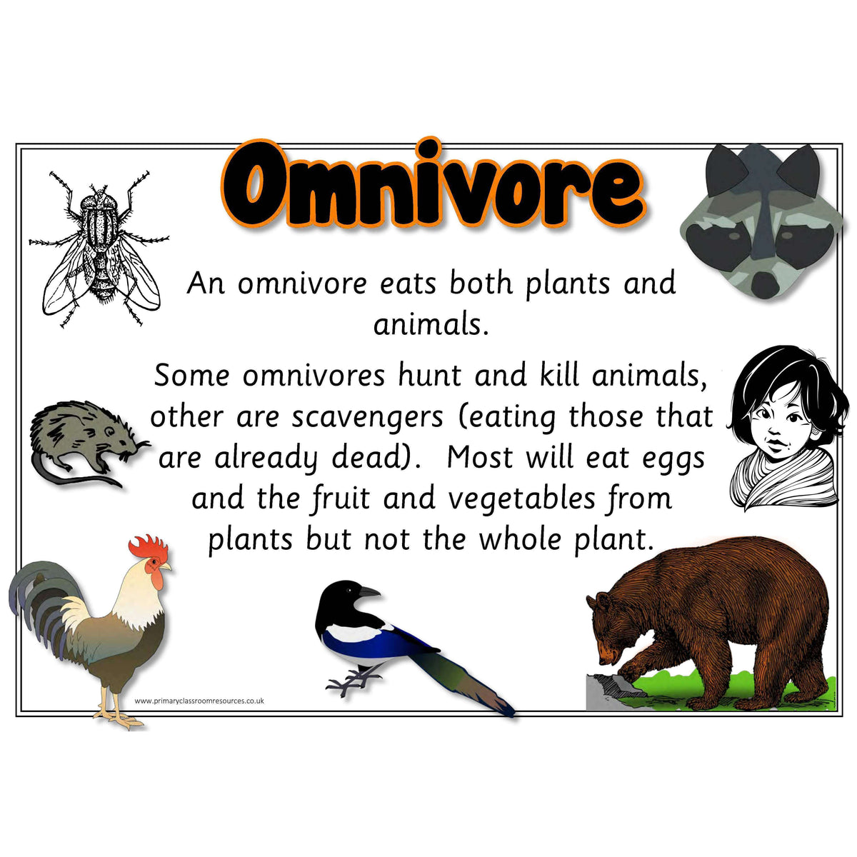 Carnivorous Animals Name For Kids With Picture