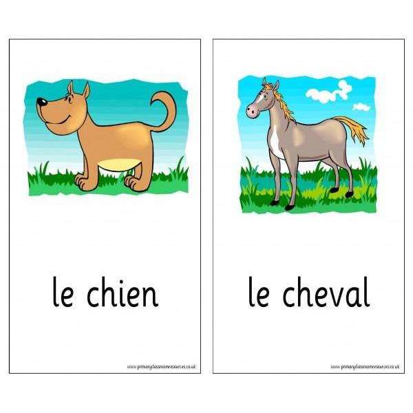 french-vocabulary-cards-animals-primary-classroom-resources