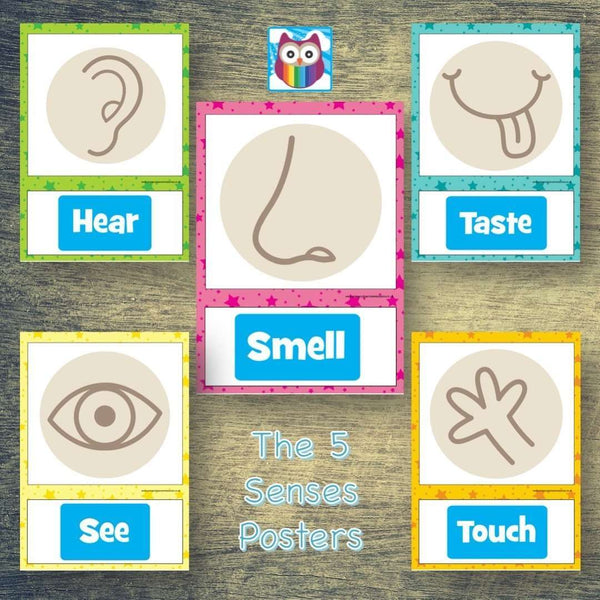 The 5 Senses Posters – Primary Classroom Resources
