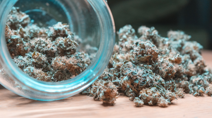 How to Prevent Moldy Marijuana While Storing Cannabis