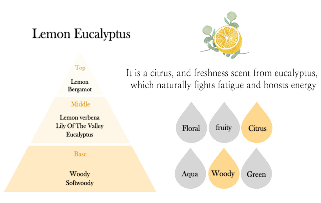 emerci car air freshener lemon eucalyptus scent information