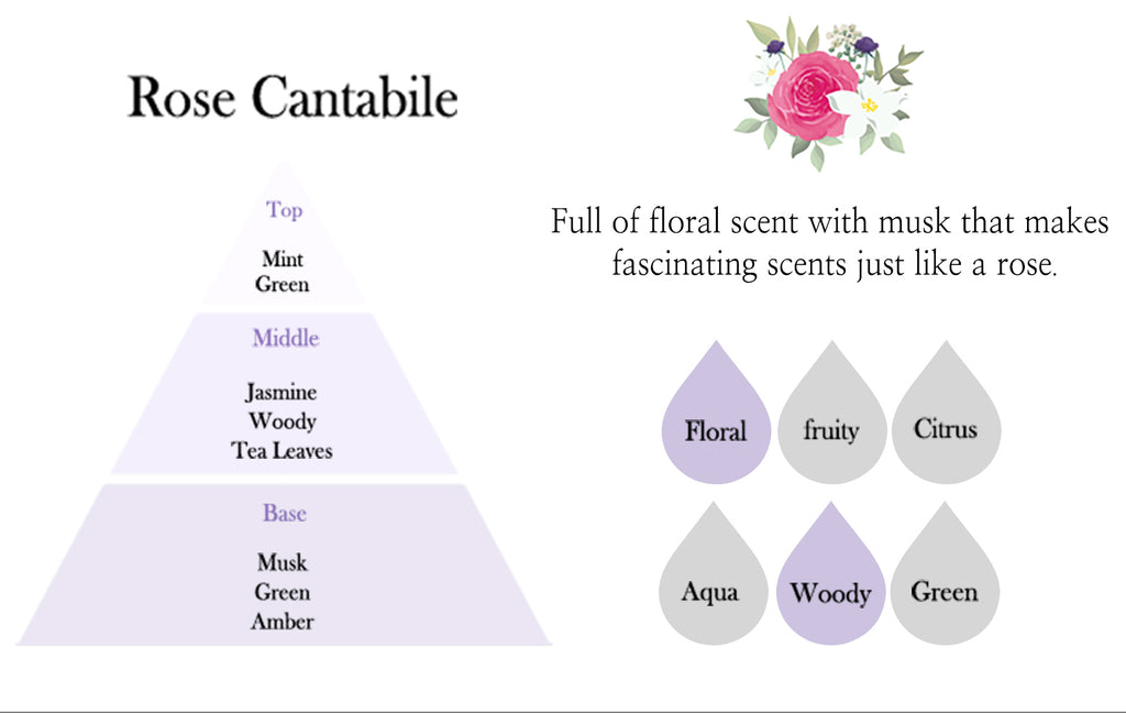 emerci car dashboard diffuser rose cantabile scent information