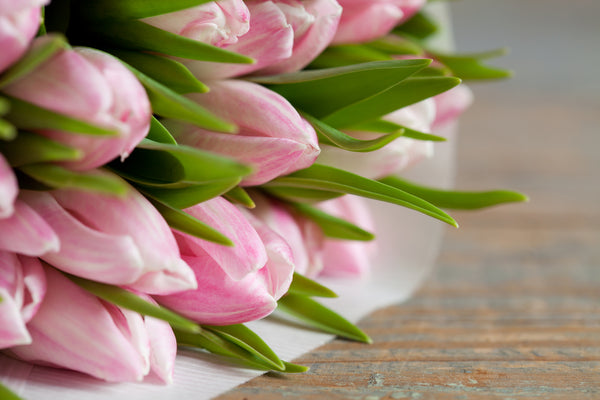 Send Tulips to mom on Mother’s Day
