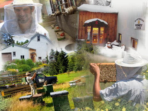 collage of beekeeping scenes