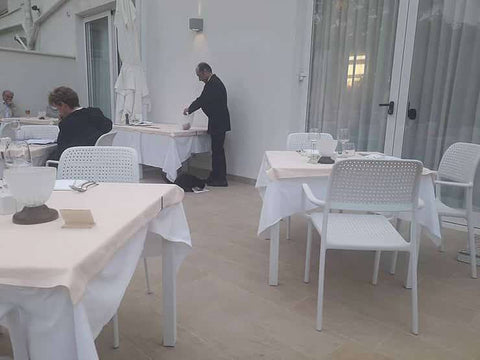 Italian waiter feeding cat