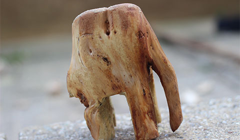 Norweigan Spruce Elephant Figure