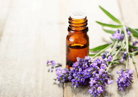 the benefits of essential oil