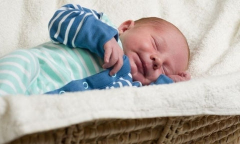 baby in moses basket