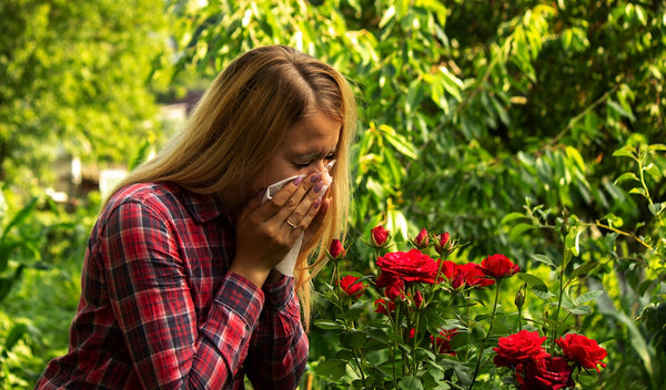 Essential Candy Clarity Blend Seasonal Allergies