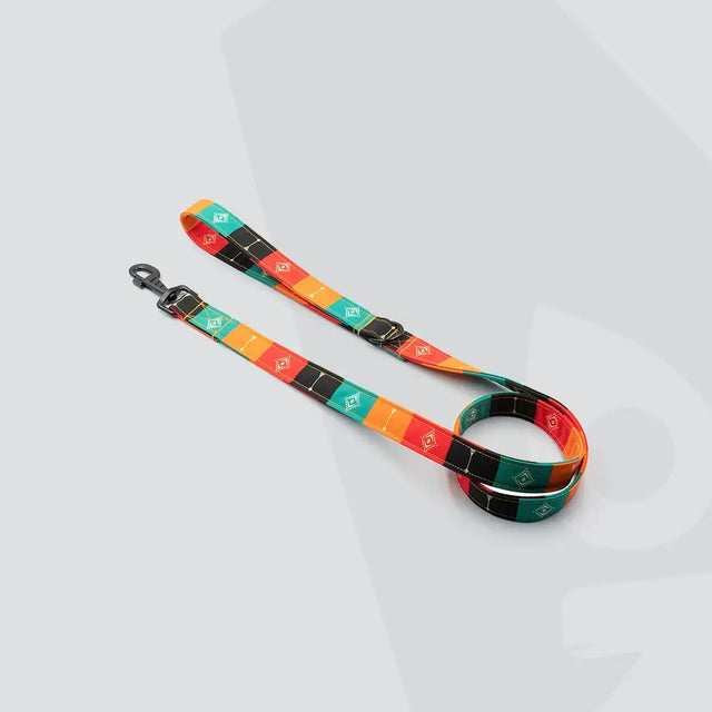 wild barks dog leashes